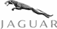 Jagur